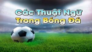 Tổng hợp vài loại thuật ngữ đa dạng