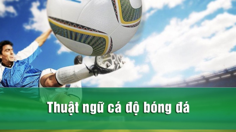 Các thuật ngữ cá cược tại THABET đa dạng