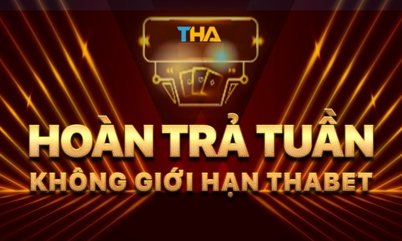 Liệu tân thủ có nên chơi THABET online không?